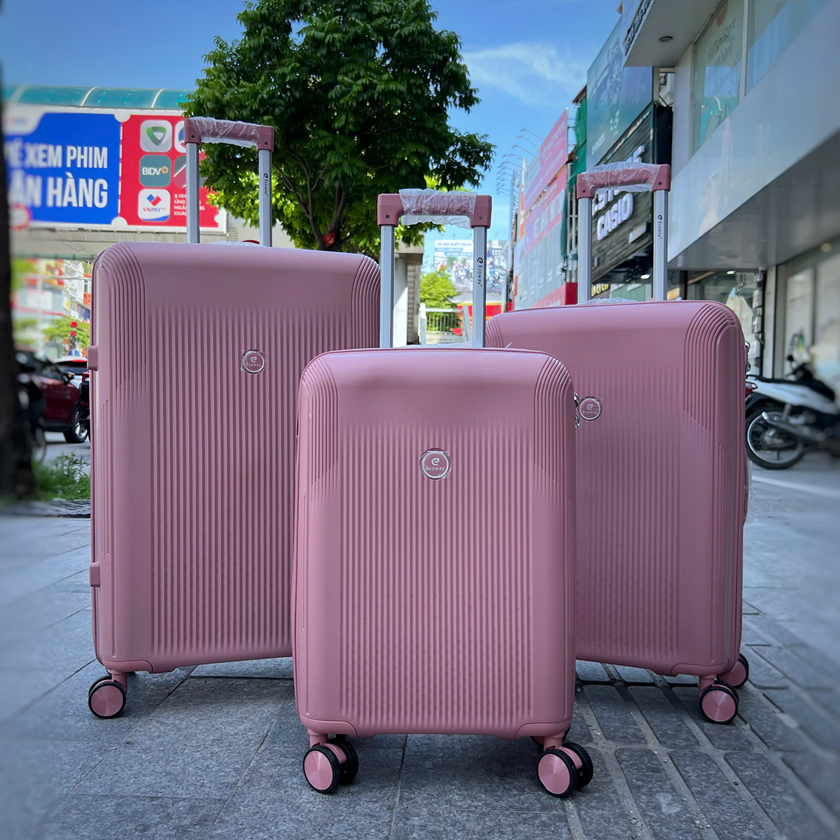 Vali du lịch cỡ trung Ecoway E811 size 24 inch 31 Vali du lịch cỡ trung Ecoway E811 size 24 inch 31