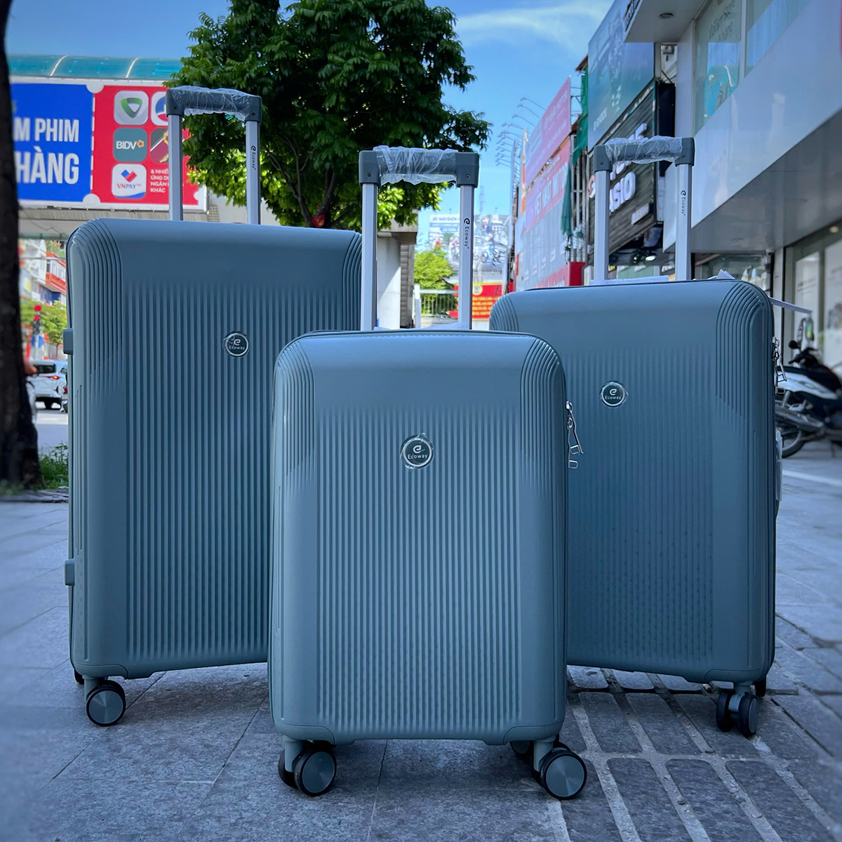 Vali du lịch cỡ trung Ecoway E811 size 24 inch 29 Vali du lịch cỡ trung Ecoway E811 size 24 inch 29